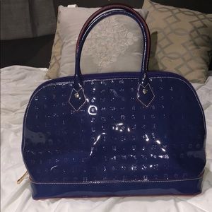 Arcadia purse